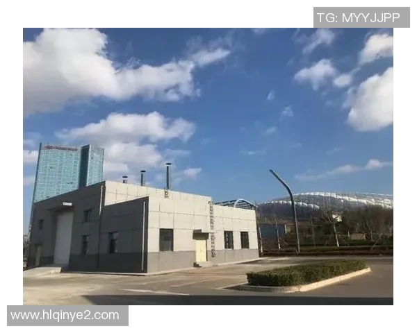 大连明星篮球馆盛大开幕引领城市体育新风潮与全民健身热潮